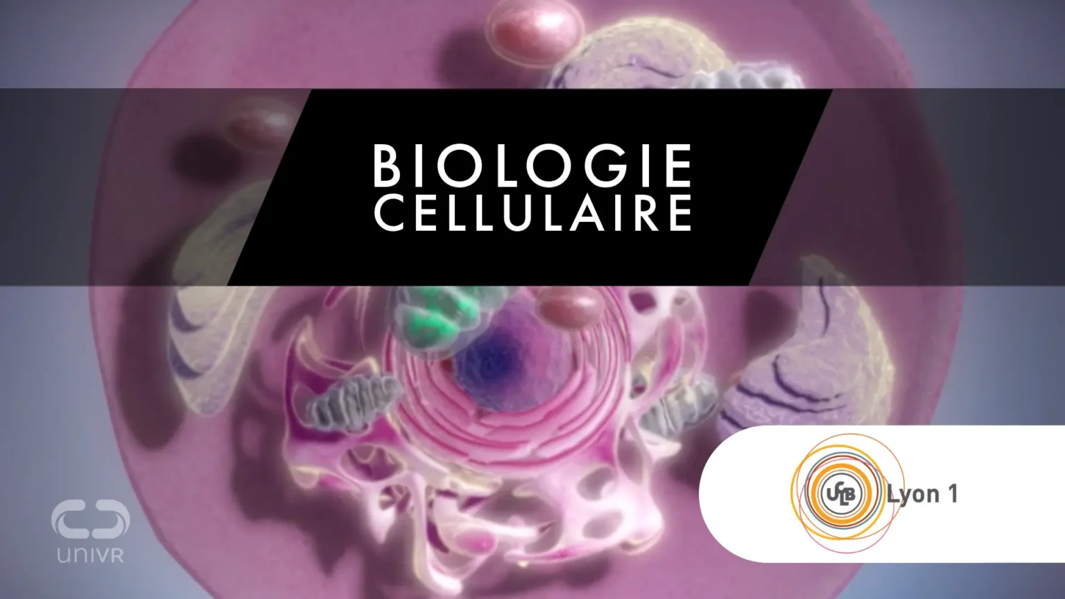 cours biologie réalité virtuelle université-2 réalité virtuelle pour les universités - Outil enseignement de la biologie cellulaire 3D